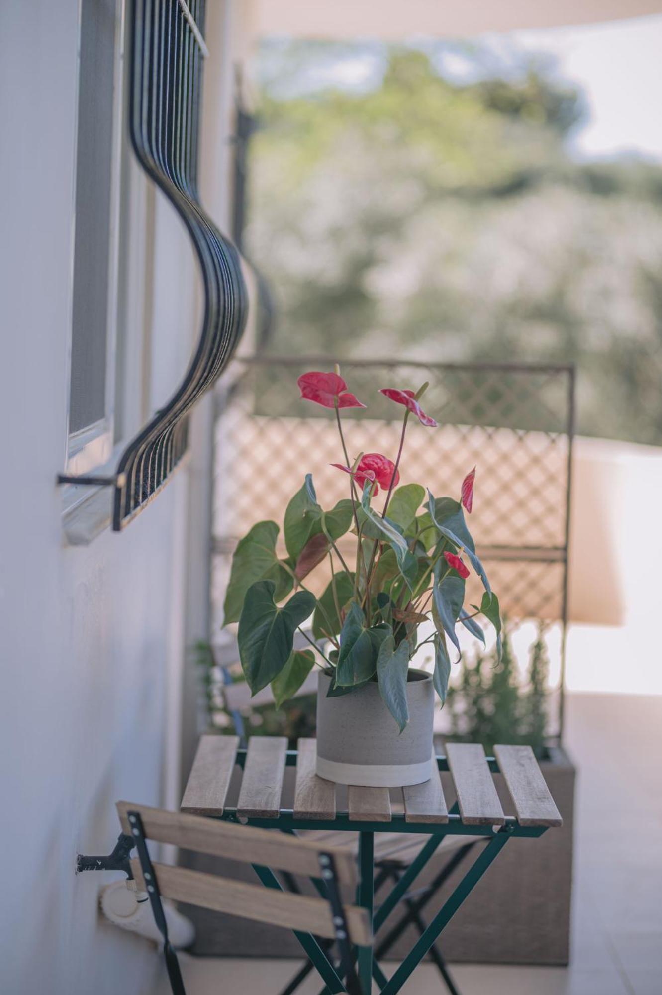 Summer Blue Apartments Chania Chania  ภายนอก รูปภาพ